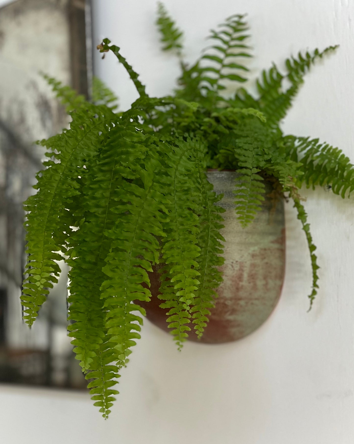 Wall-hanging Planter